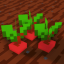 Barebones 3D crops
