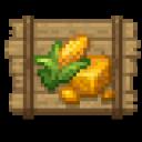 Corn Delight