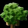 Cubic Leaves