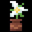 Fresh Flower Pots: Compats