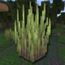 Wetland Whimsy