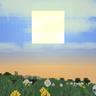 Vibrant Fog