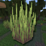 Wetland Whimsy